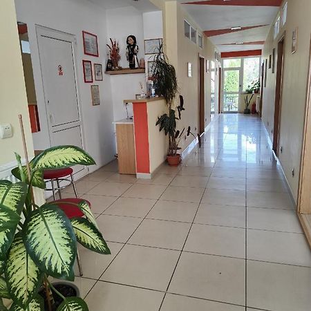 Pensiunea Eli Sibiu Exterior photo